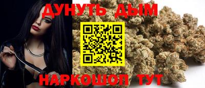 крисы Малгобек