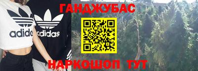 крисы Малгобек