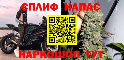 крисы Малгобек