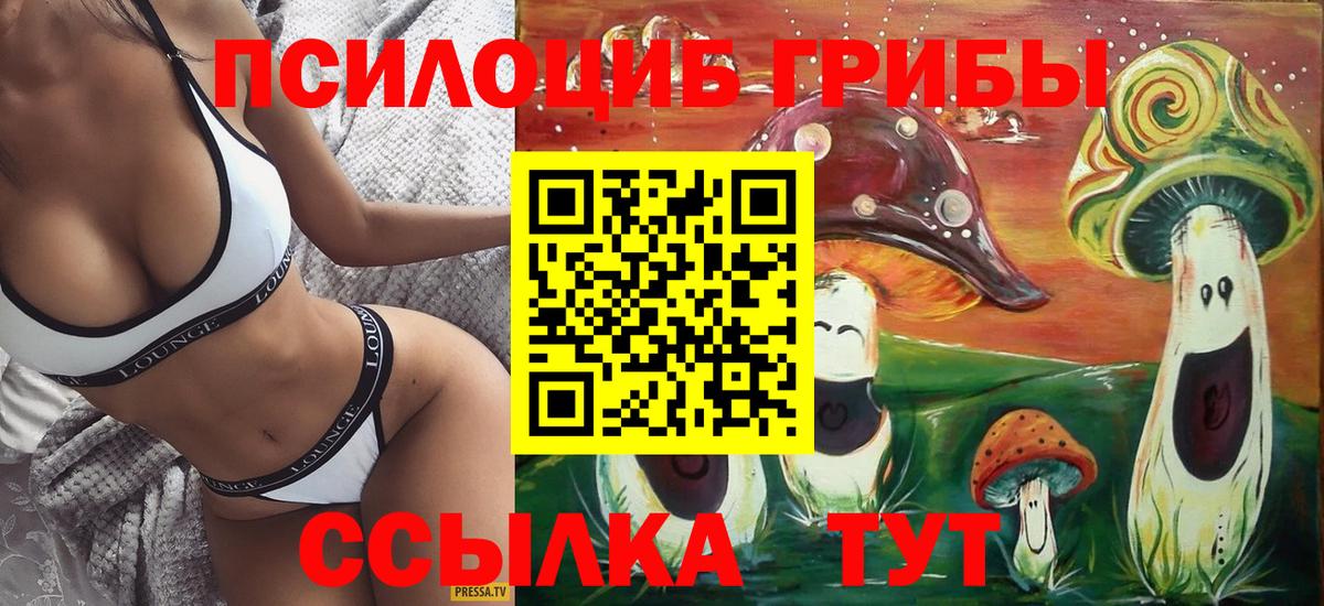 Галлюциногенные грибы Psilocybe Амурск